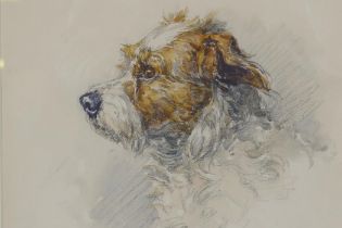 Barbara Briggs, study of a terrier, pencil and wash, signed, 25 x 25cm