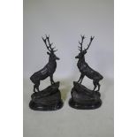 After Jules Moigniez (French, 1835-1894), a pair of twelve point bronze stags, on marble bases,