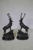 After Jules Moigniez (French, 1835-1894), a pair of twelve point bronze stags, on marble bases,