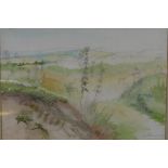 Nan Robinson, Goodwood landscape, signed and dated (19)81, watercolour, 38 x 26cm