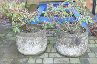 A pair of vintage concrete/reconstituted stone garden planters, 45cm diameter, 36cm high