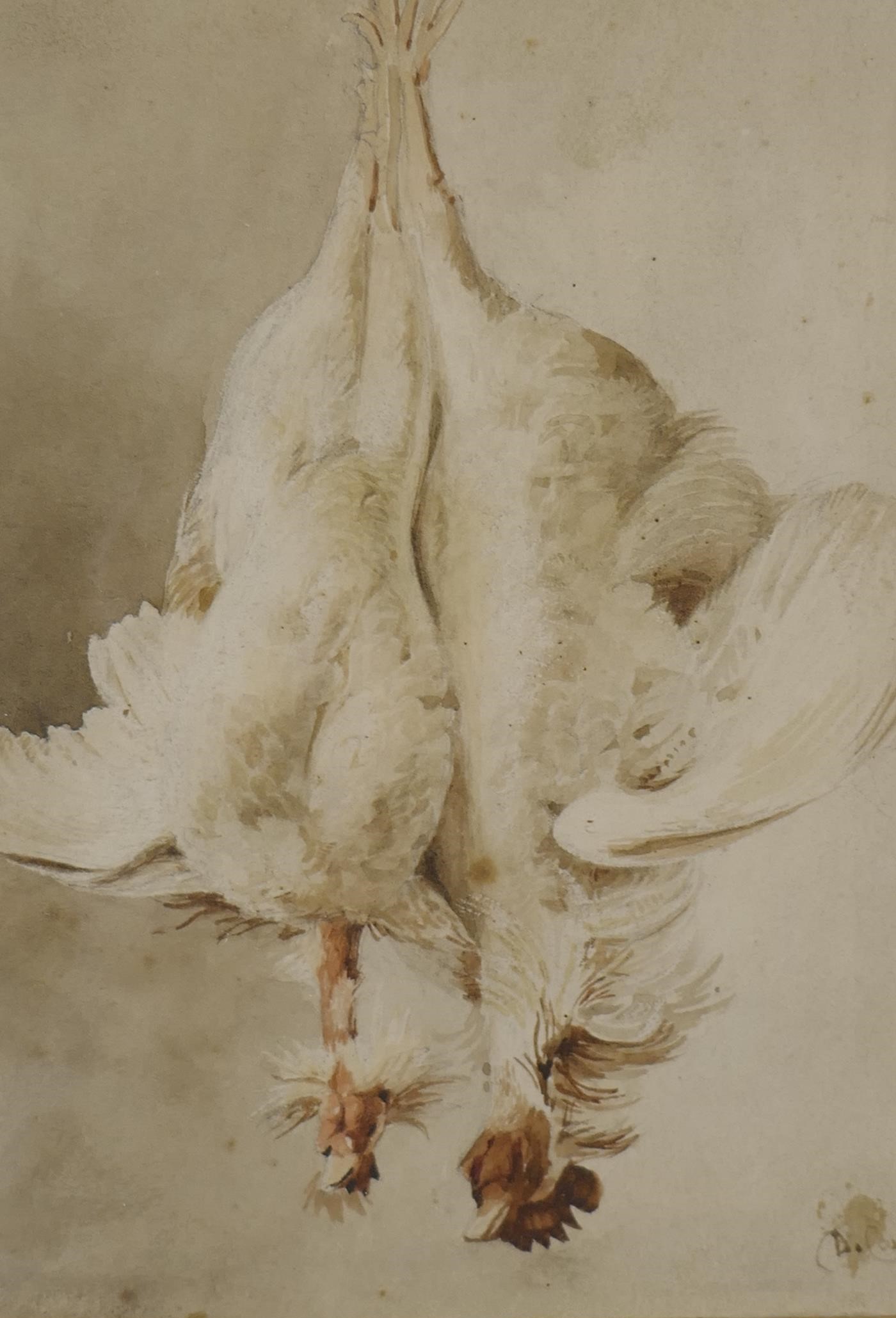 David Cox Junior, still life, hanging poultry, signed D. Cox, watercolour, 11 x 15cm