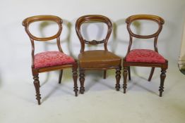 A pair of Victorian carved mahogany balloon back side chairs, raised on reeded tapering supports,