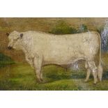 Chartley Bull, late C20th, unsigned, oil on canvas, 30 x 23cm, and colour print after an