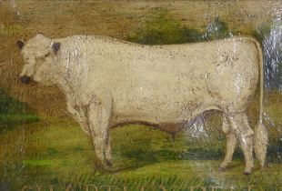 Chartley Bull, late C20th, unsigned, oil on canvas, 30 x 23cm, and colour print after an