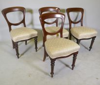 Set of four Victorian mahogany balloon back dining chairs, raised on turned supports