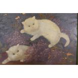 Naive painting on glass, two kittens, in a velvet frame, labelled verso A. Cole, 1906