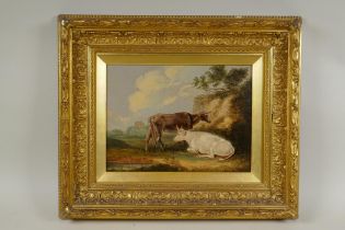 Cattle in a landscape, early C19th oil on oak panel in a period gilt frame, 19 x 25cm