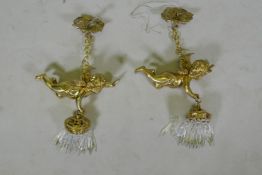 A pair of French style gilt metal pendant lights in the form of winged putti, with glass lustres,
