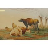 Frederick E. Valter, sheep and cattle in a spring landscape, signed, watercolour, 29 x 20cm