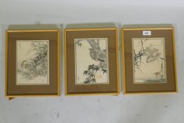 After Kono Barei, three Japanese woodcut prints, wild birds, from the set of One Hundred birds, 15 x