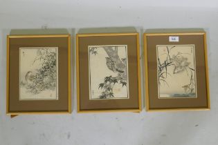 After Kono Barei, three Japanese woodcut prints, wild birds, from the set of One Hundred birds, 15 x