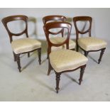 Set of four Victorian mahogany balloon back dining chairs, raised on turned supports