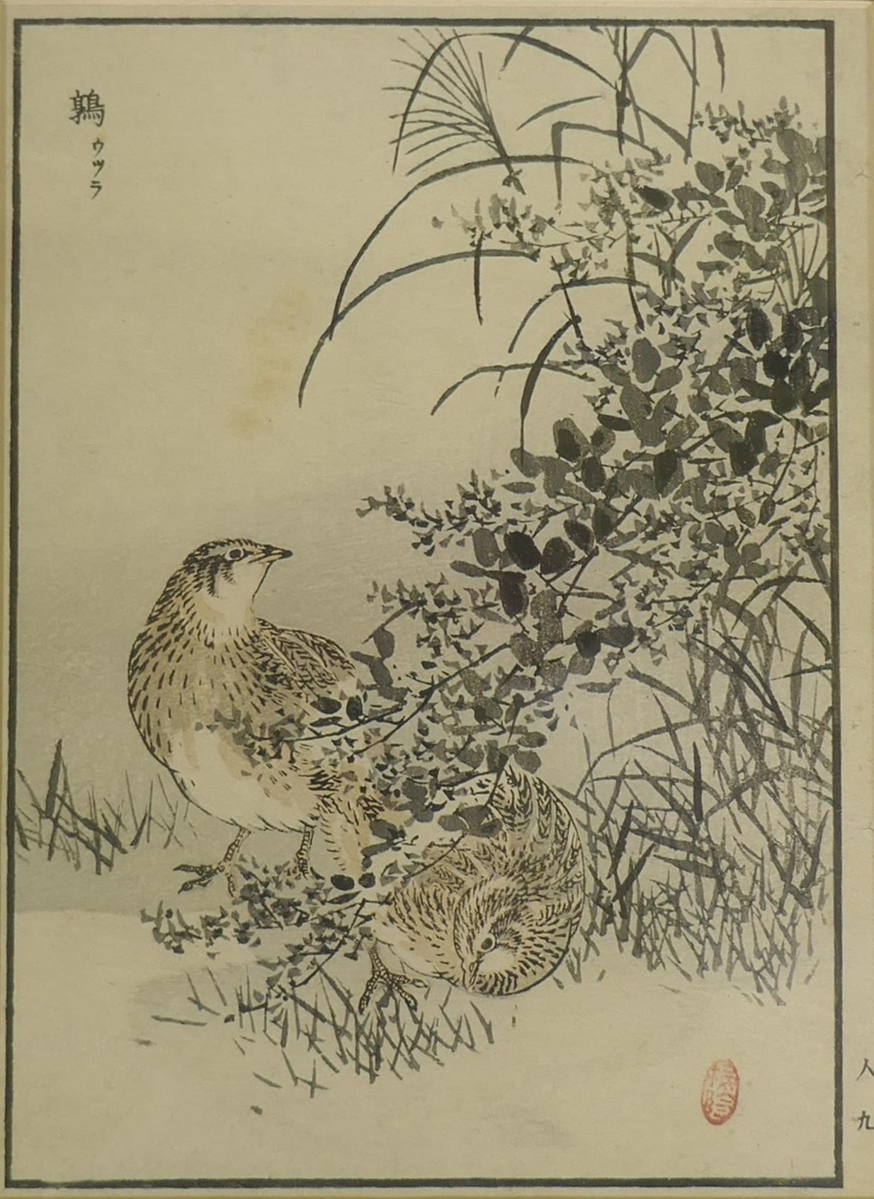 After Kono Barei, three Japanese woodcut prints, wild birds, from the set of One Hundred birds, 15 x - Image 2 of 5