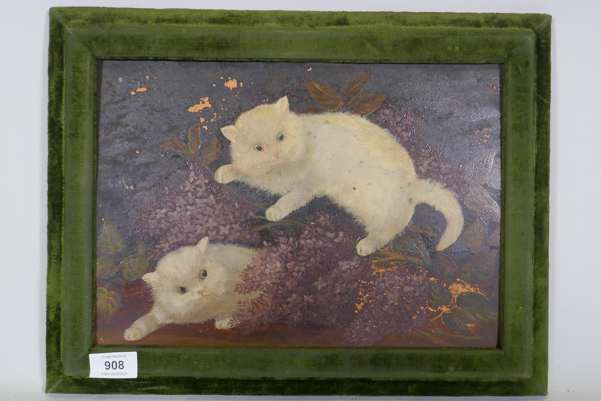Naive painting on glass, two kittens, in a velvet frame, labelled verso A. Cole, 1906 - Image 2 of 4