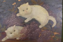 Naive painting on glass, two kittens, in a velvet frame, labelled verso A. Cole, 1906