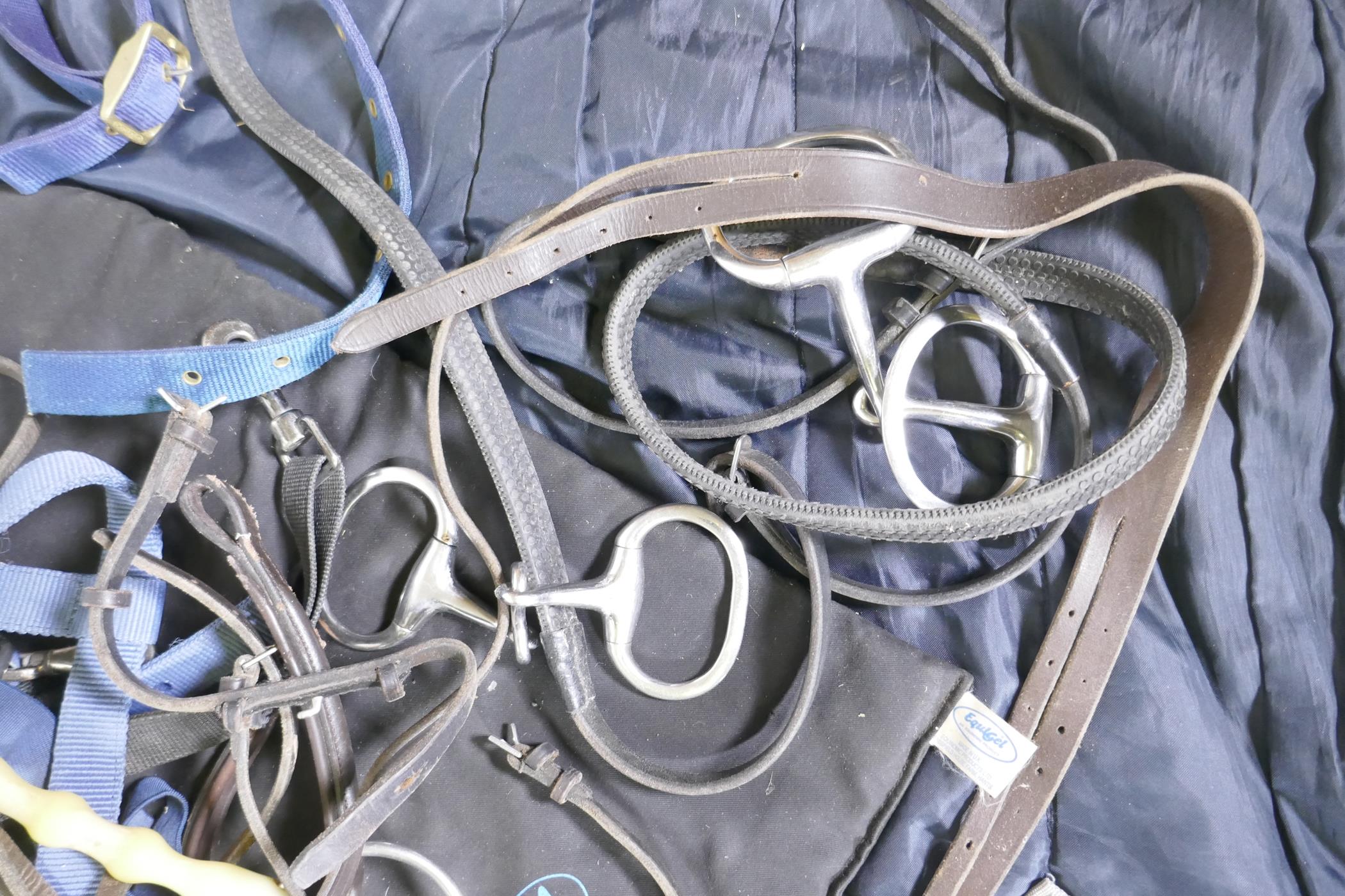 A quantity of equestrian equipment including Amigo Horseware stable/under blanket, Equigel saddle - Image 6 of 6