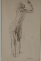William Dring, female figure study, signed, ink and pastel drawing, 35 x 21cm