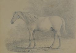 A C19th pencil sketch of a horse, 30 x 24cm