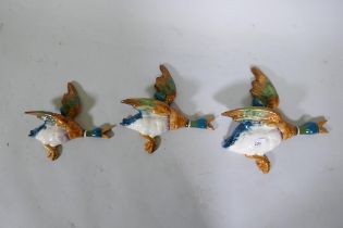 A set of three Beswick graduated flying Mallard ducks, one AF, largest 29cm long