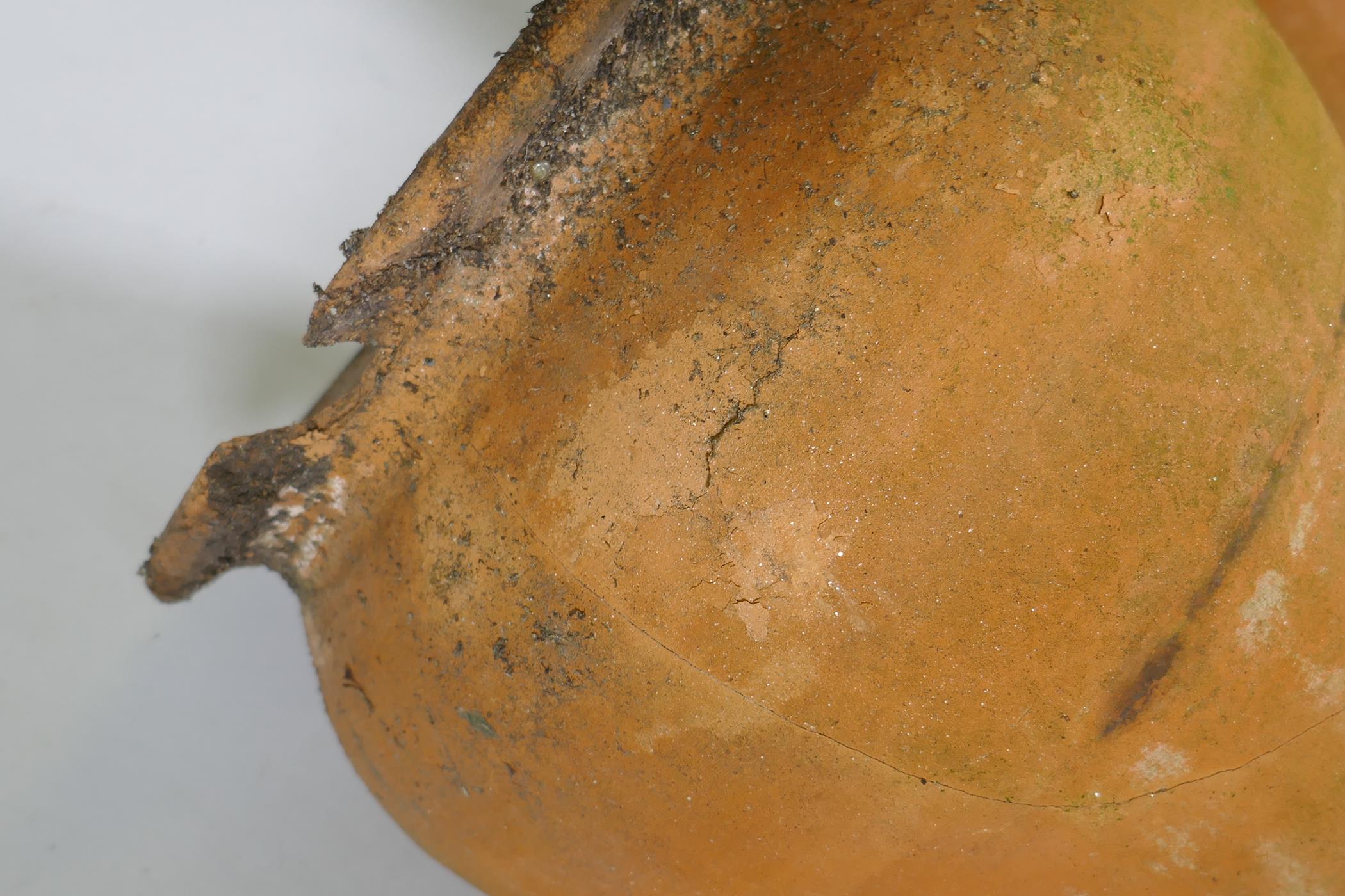 A pair of terracotta amphora, 48cm high, 27cm diameter - Image 3 of 3