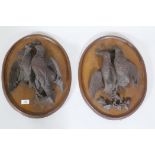 A pair of C19th oak wall plaques with finely carved braces of woodland birds, 46 x 36cm