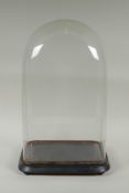 An antique glass clock dome and stand, 30 x 18cm, 47cm high