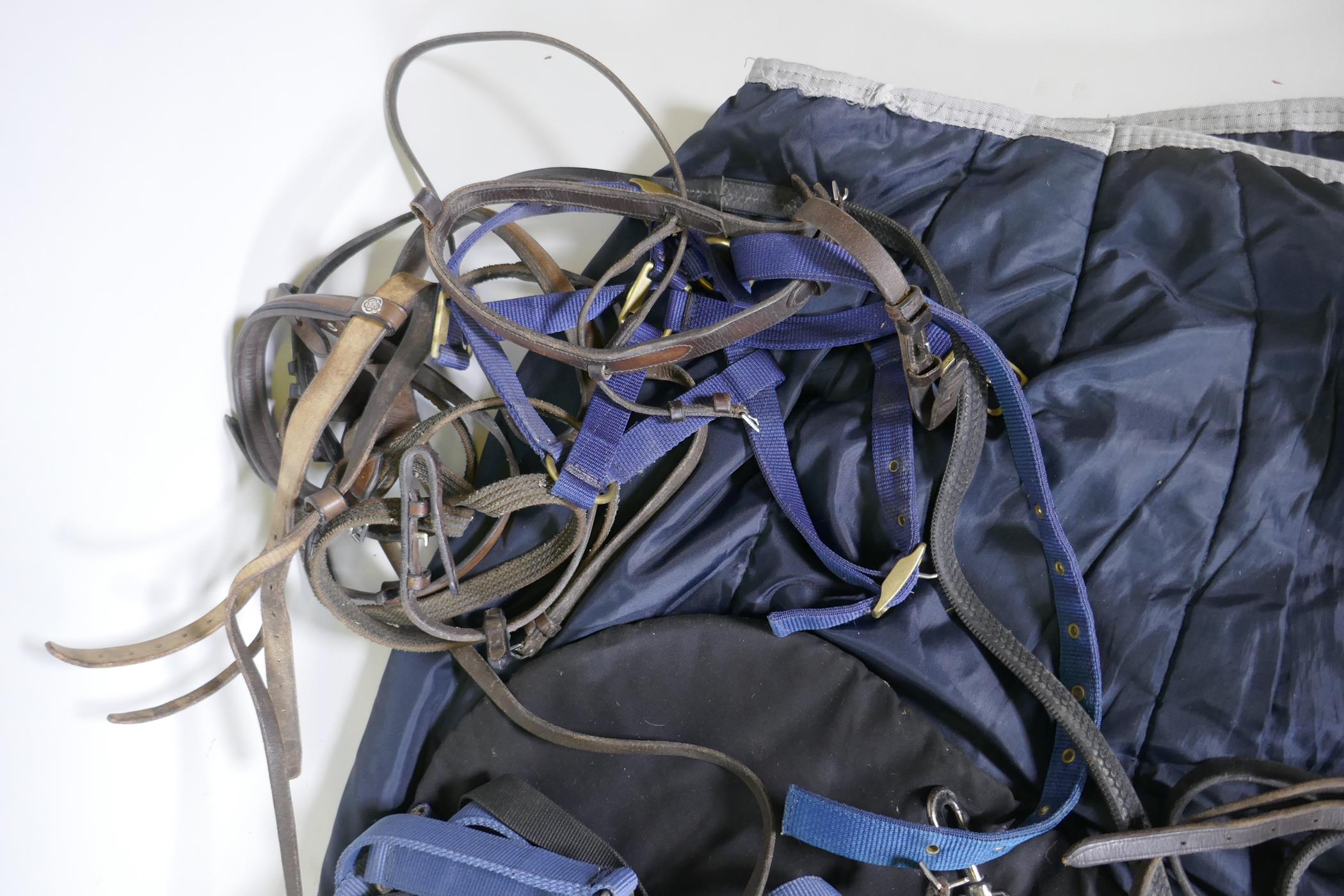 A quantity of equestrian equipment including Amigo Horseware stable/under blanket, Equigel saddle - Image 5 of 6