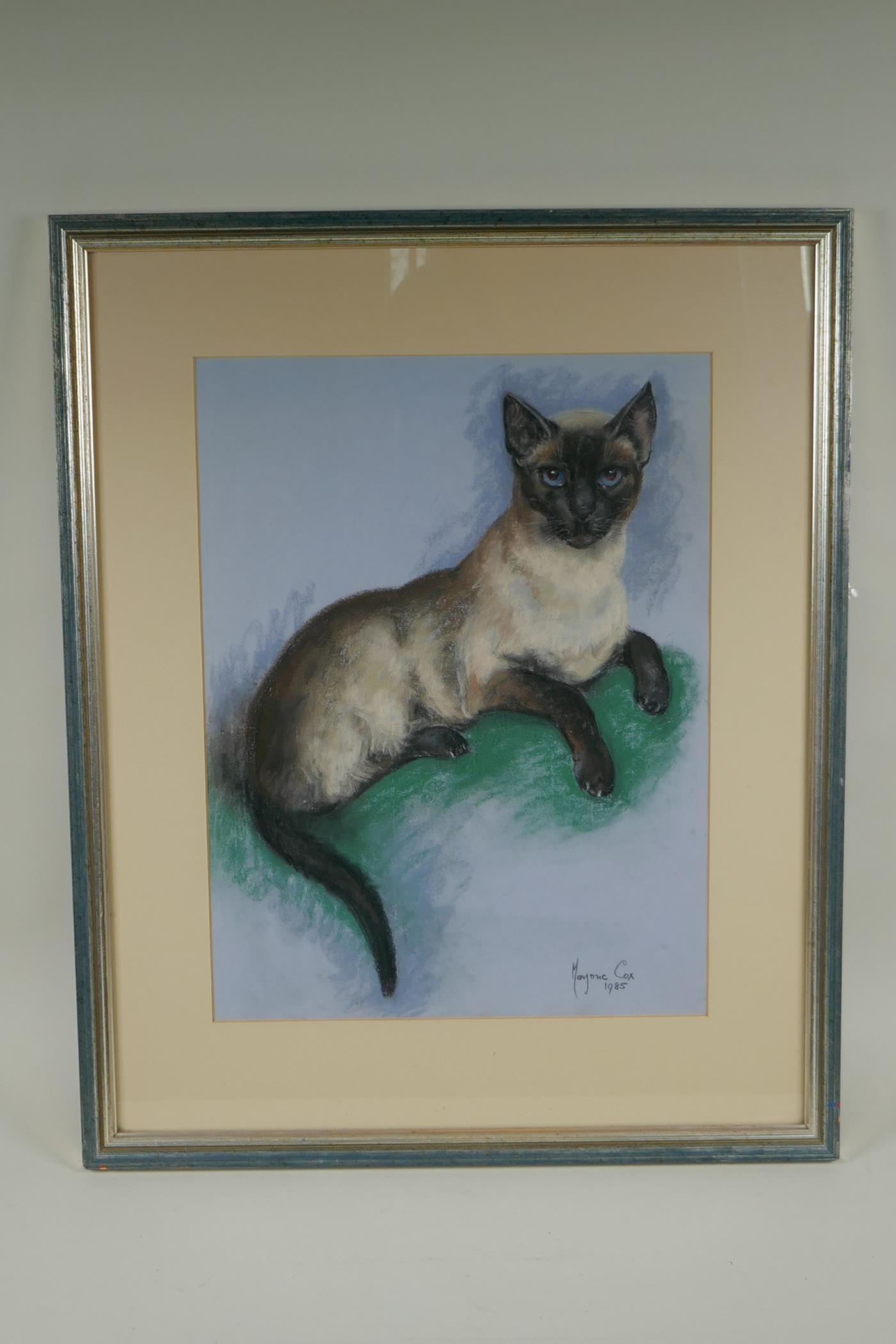 Marjorie Cox, a Siamese cat, signed pastel drawing, 44 x 34cm - Image 2 of 3