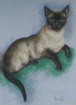 Marjorie Cox, a Siamese cat, signed pastel drawing, 44 x 34cm