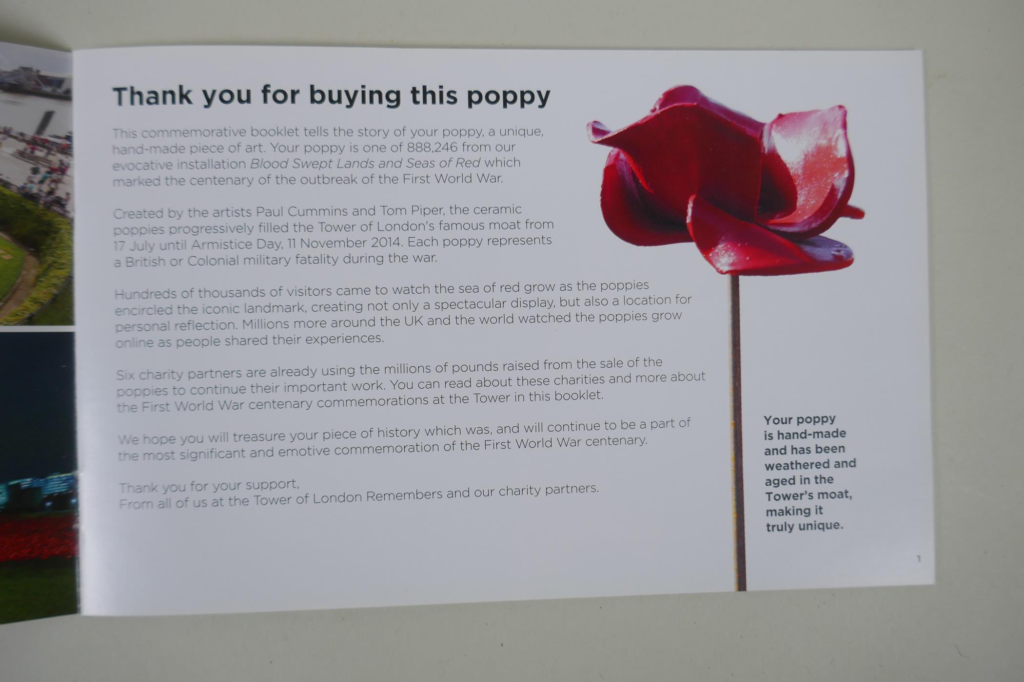 Paul Cummins, (British, b.1977), Blood Swept Lands and Seas of Red, one of 888,246 ceramic poppies - Image 6 of 6