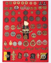 Display Board of Hampshire and Royal Hampshire Regiment Badges and Insignia