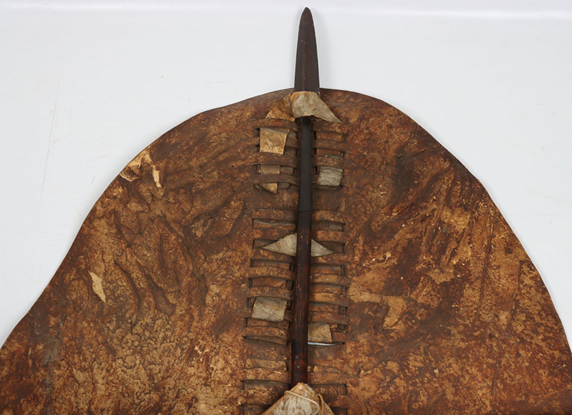 Rare Anglo-Zulu War Period Large Zulu Battle Shield Isihlangu - Image 14 of 21