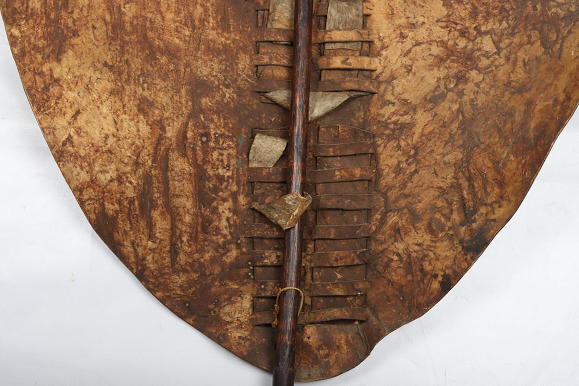 Rare Anglo-Zulu War Period Large Zulu Battle Shield Isihlangu - Image 11 of 21