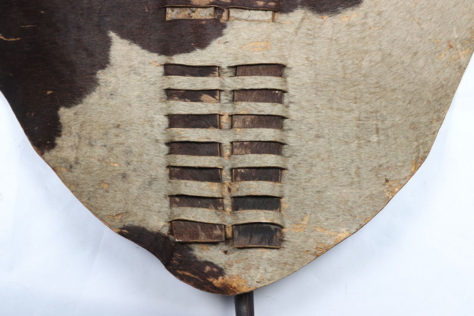 Rare Anglo-Zulu War Period Large Zulu Battle Shield Isihlangu - Image 3 of 21