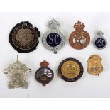 Police / Constabulary Badges