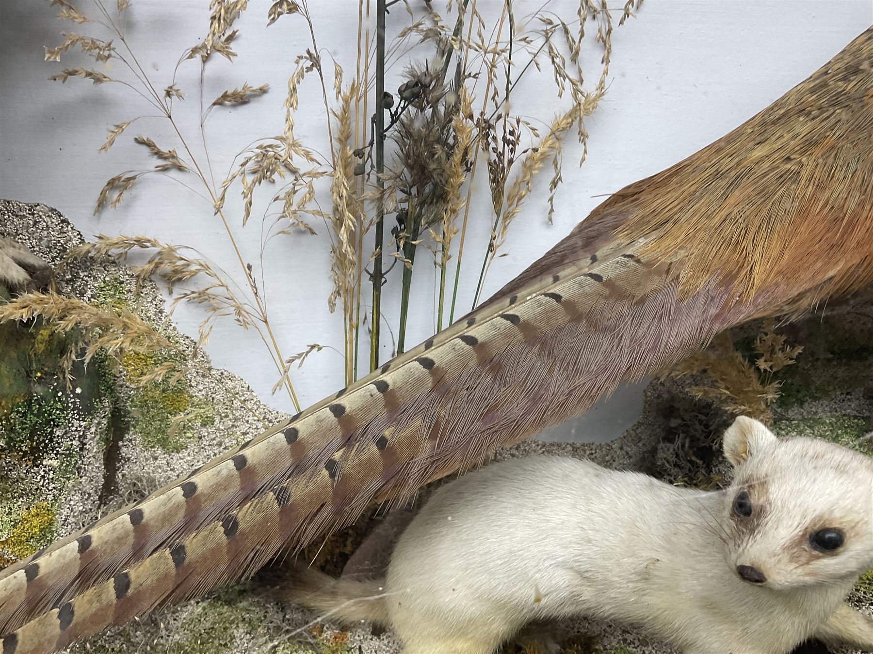 Taxidermy: Victorian mixed diorama - Image 15 of 24