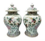 Pair of 19th century Chinese Famille Rose vases and covers