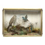 Taxidermy; Victorian cased bird diorama