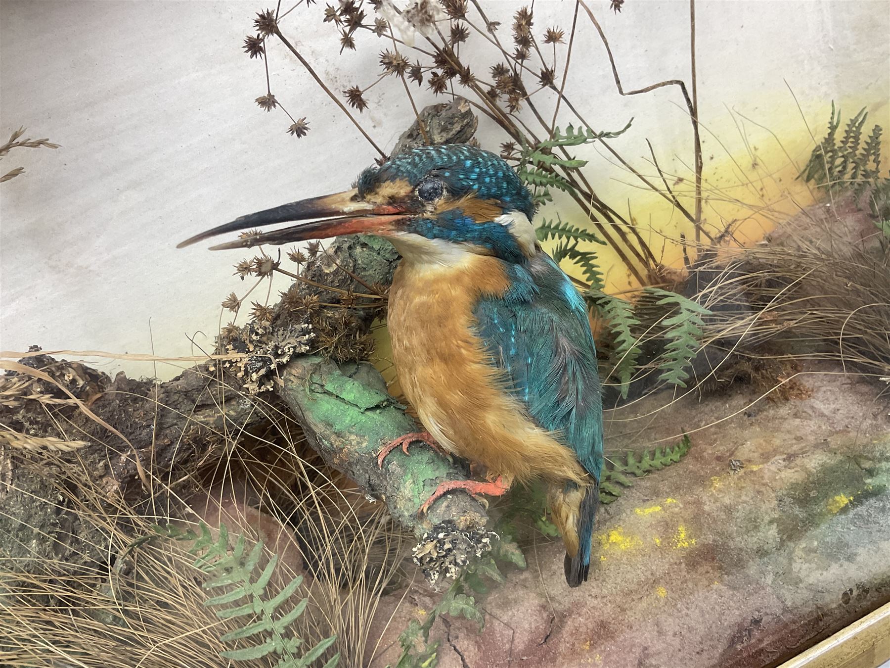 Taxidermy; Victorian cased bird diorama - Image 7 of 10