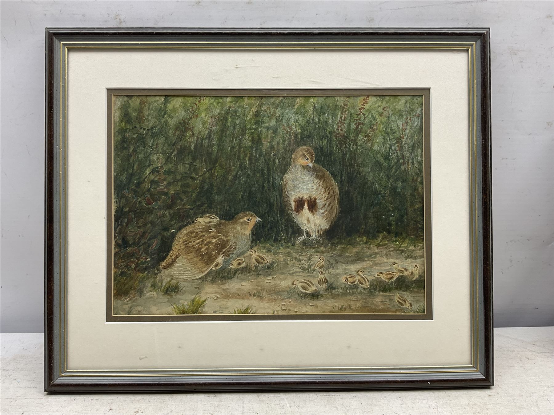Mary Dawson Elwell (British 1874-1952): Pair of Partridge and Chicks - Image 2 of 3