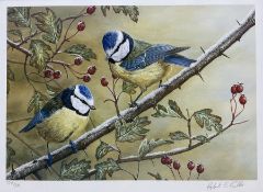 Rober E Fuller (British 1972-): Blue Tits