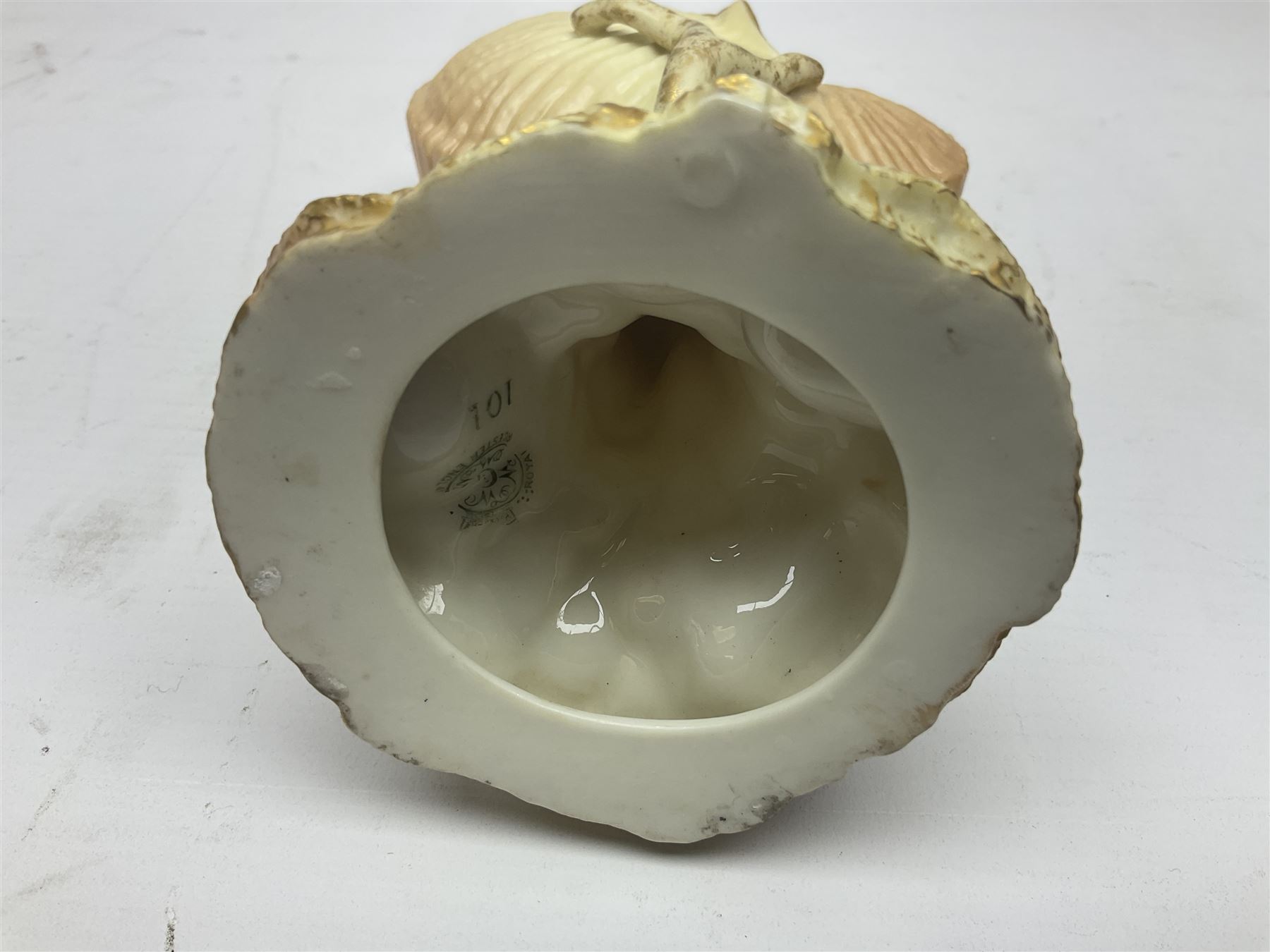 Royal Worcester blush ivory Nautilus shell with coral shape support and decorated with shells to bas - Image 8 of 8