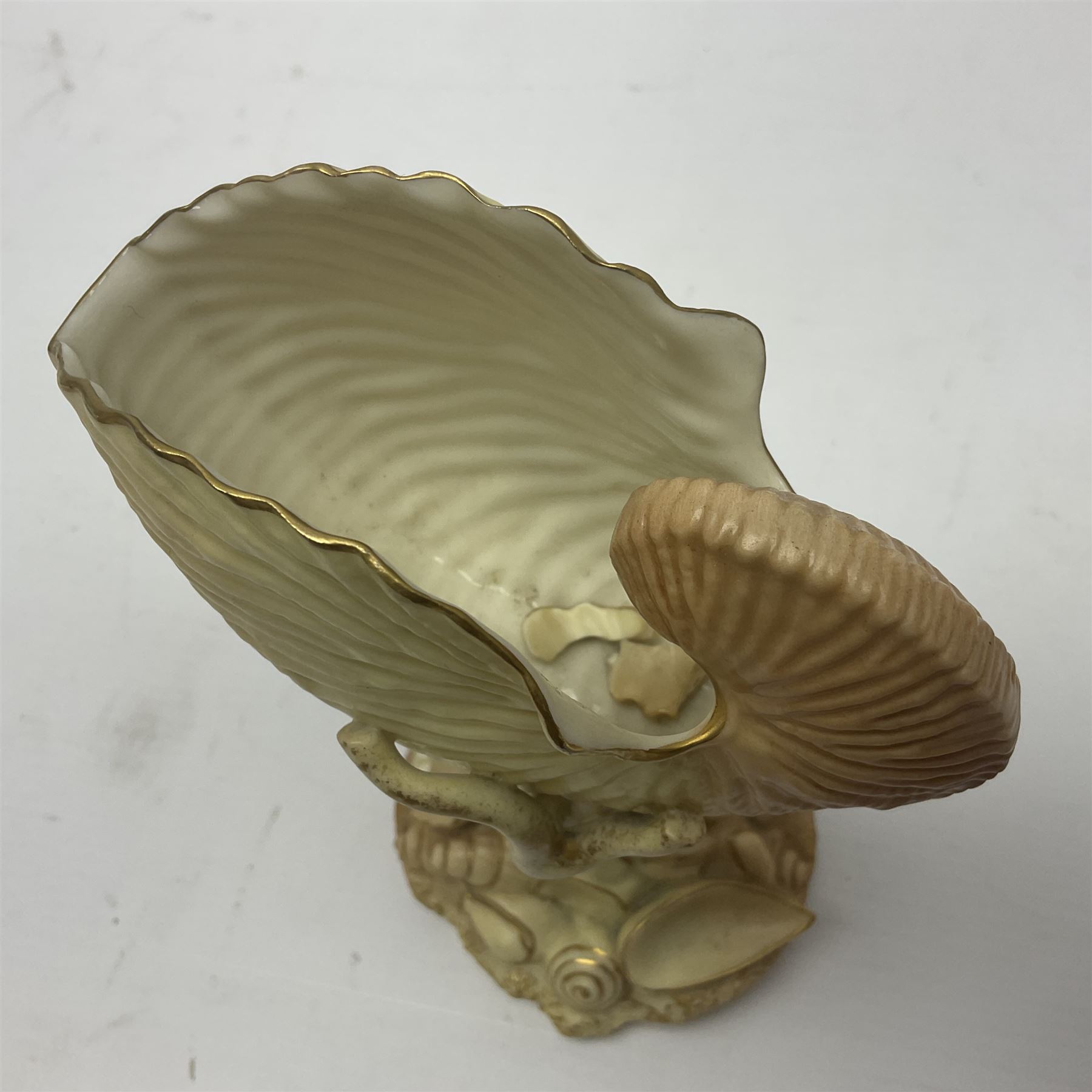 Royal Worcester blush ivory Nautilus shell with coral shape support and decorated with shells to bas - Image 2 of 8