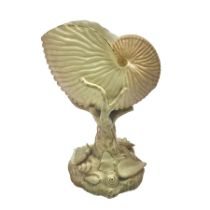 Royal Worcester blush ivory Nautilus shell with coral shape support and decorated with shells to bas