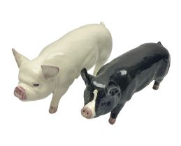 Two beswick rare breed pigs