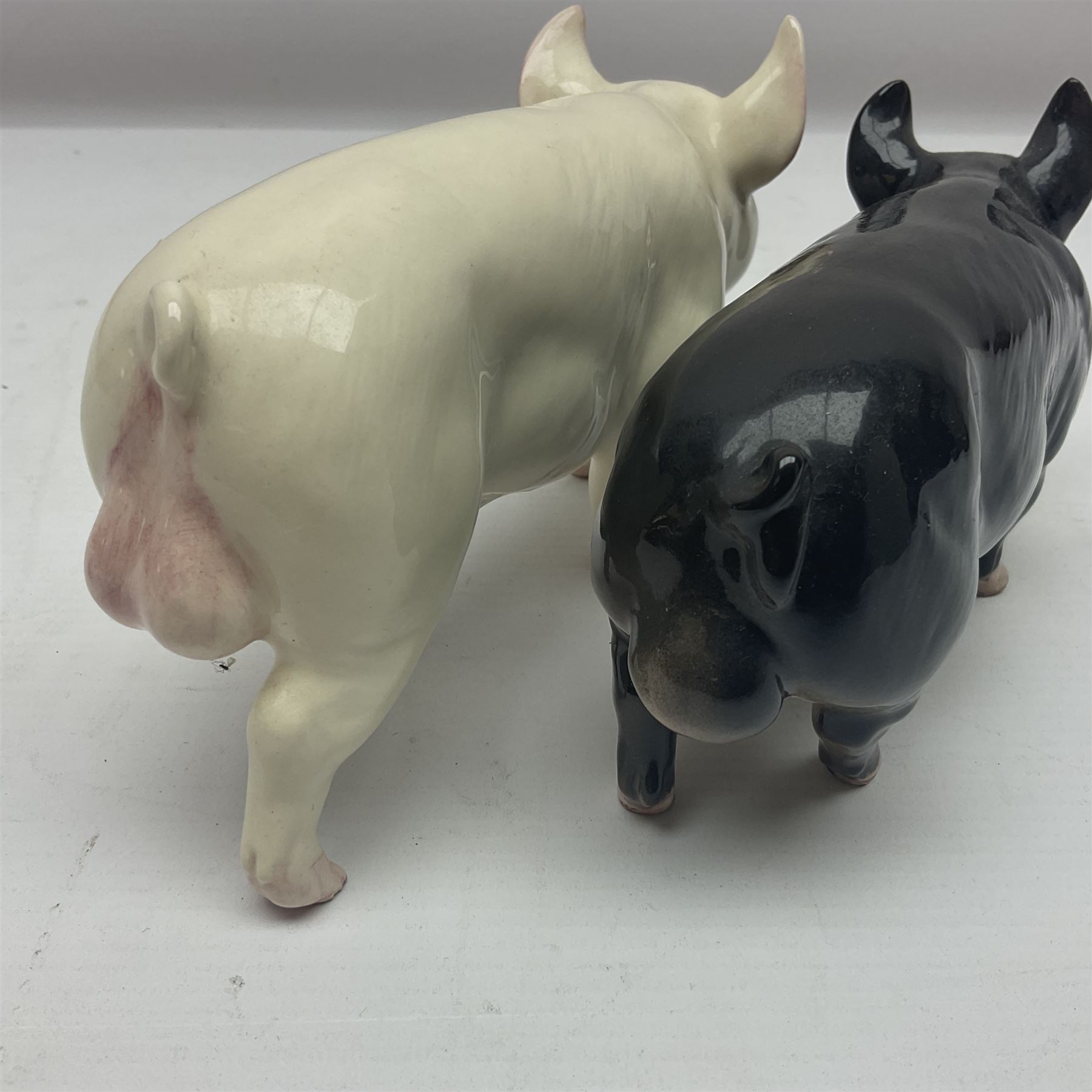 Two beswick rare breed pigs - Image 2 of 5