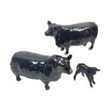 Beswick Aberdeen Angus family group