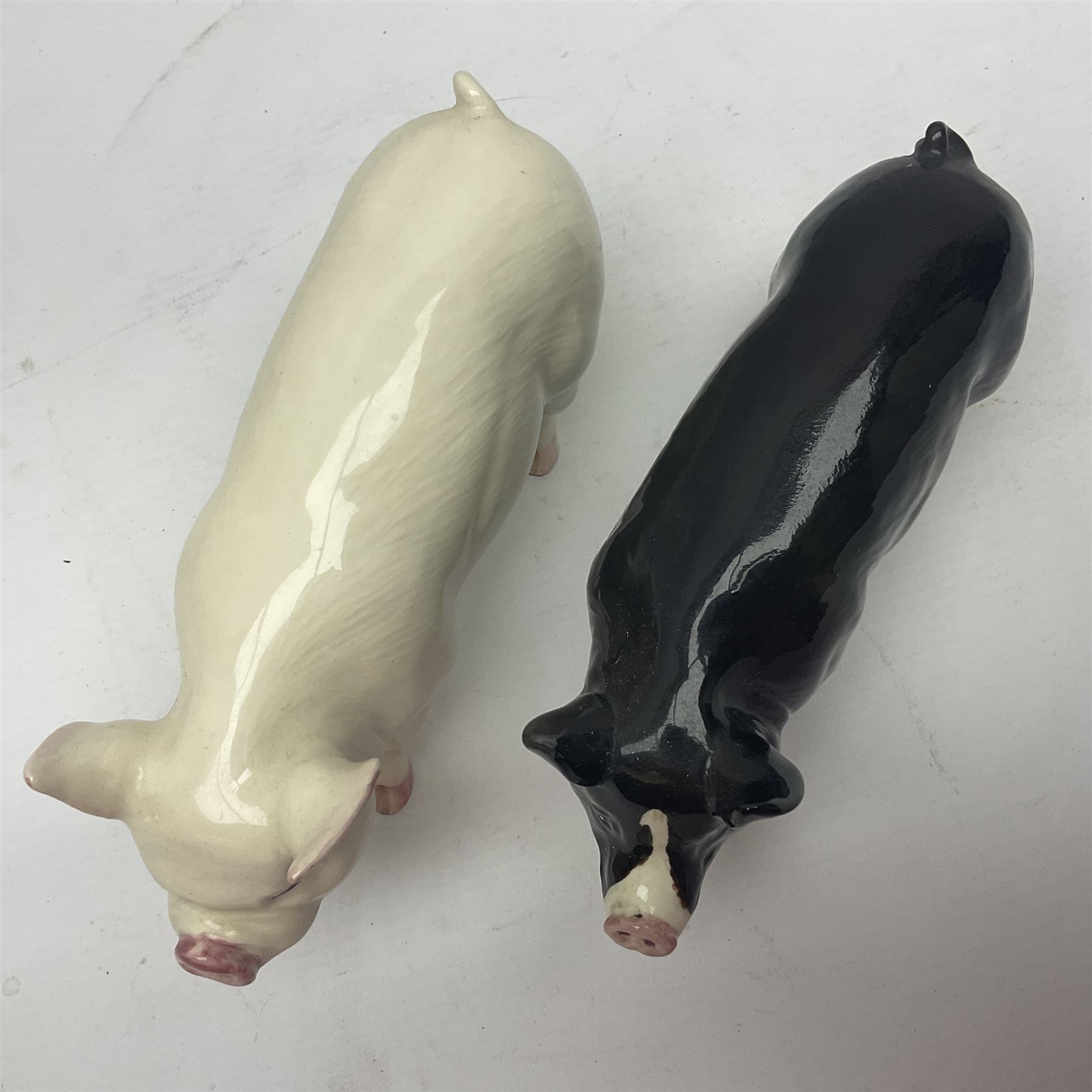 Two beswick rare breed pigs - Image 5 of 5