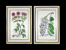 Two Royal Worcester Botanical Studies wall plaques